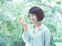 WP_manekinekoduck_1024-768.jpg