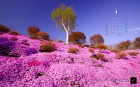 04_1280w.jpg