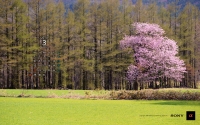 03_1280w.jpg