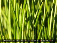 69051.jpg