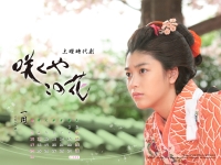 konohana_1600.jpg