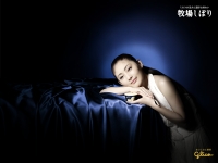 wp_w1024.jpg