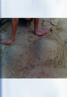 img041.jpg