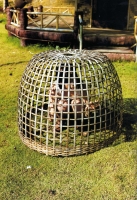 img042.jpg