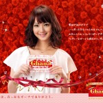 wall_sasaki_1280_1024
